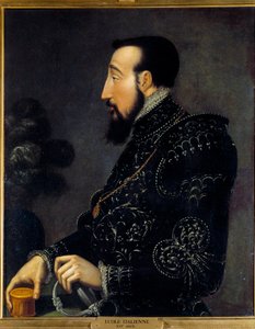 Ritratto di Enrico II re di Francia