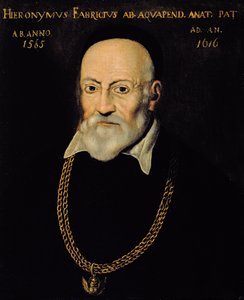Ritratto di Geronimo Fabricius
