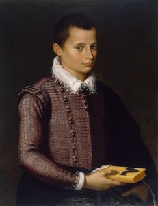 Ritratto di un ragazzo con un libro
