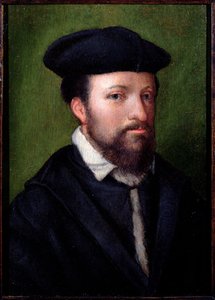 Ritratto di un gentiluomo, Nord Italia, metà XVI secolo