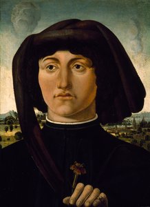 Ritratto di un giovane con un fiore rosa, c.1475-85 da Italian School
