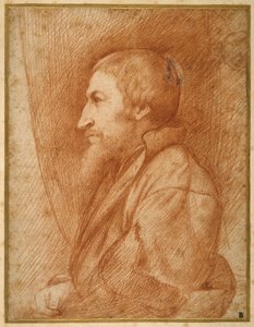 Ritratto di profilo (autoritratto?) di un uomo con la barba da Italian School