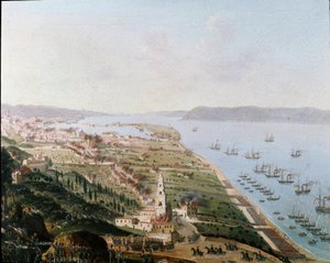 Risorgimento: le armate borboniche di Ferdinando II delle Due Sicilie a Messina (Sicilia) nell
