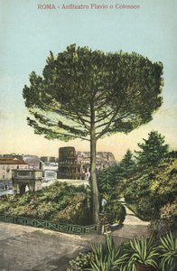 Roma, Italia, Anfiteatro e Colosseo (litografia a colori) da Italian School