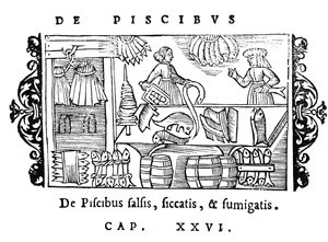 Salatura, essiccazione e affumicatura del pesce, illustrazione da Historia de Gentibus Septentrionalibus di Olaus Magnus (1490-1558), pubblicato a Roma, 1555 da Italian School