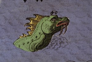 Mostro marino: rappresentazione di un serpente marino (dettaglio)