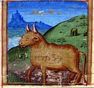 Segno del toro. Oroscopo italiano, metà XV secolo