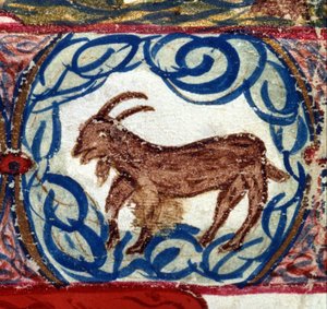 Segno del Capricorno. Oroscopo italiano, metà del XV secolo. da Italian School