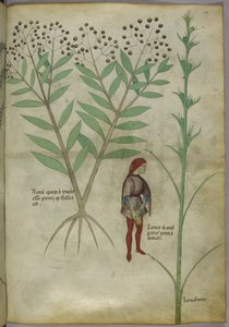 Sloane 4016 f.54 Uomo che urina in un vaso, da 