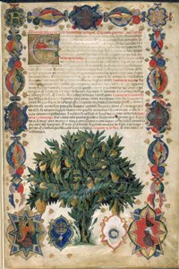 Pagina di testo con bordi ornamentali, illustrazione da 