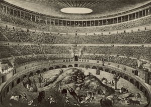 Il Colosseo, La grande caccia alle bestie selvatiche da Italian School