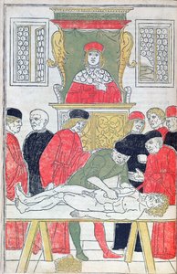 La dissezione, illustrazione da 
