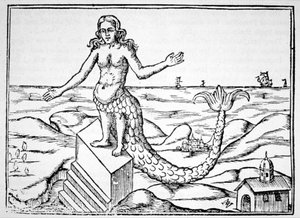 Il Drago della Divinità, copia di un