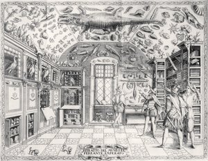 Il Museo di Storia Naturale dell