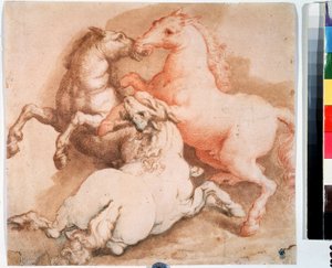 Combattimento di cavalli da Italian School