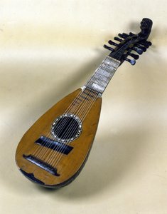 Natura morta con mandolino veneziano da Italian School