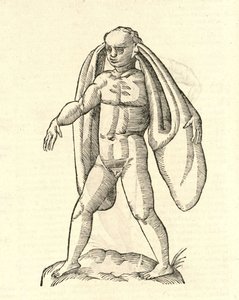 illustrazione di Homo Fanesius auritus dalla Storia dei Mostri di Aldrovandi, 1642 da Italian School