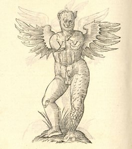illustrazione di Monstrum cornutum, and alatum aliud dalla Storia dei Mostri di Aldrovandi, 1642 da Italian School