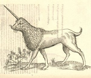 illustrazione di un Camphurch dalla Storia dei Mostri di Aldrovandi, 1642