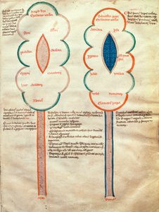 ms. ASPi, C.M. 15, c.4r Due fiori simbolici, una pagina dal Liber figuratum e le proemissiones gioachimitiche, di Gioacchino da Fiore (c.1135-1202)