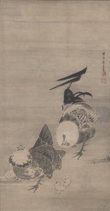 Galli, gallina e pulcini, destra di un paio, 1795 da Ito Jakuchu