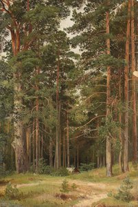 Una giornata estiva, Merikiul da Ivan Ivanovich Shishkin