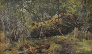 Rami. Uno studio da Ivan Ivanovich Shishkin