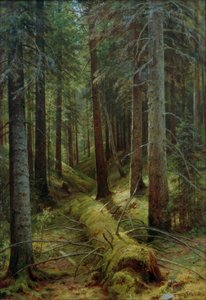Nella foresta russa da Ivan Ivanovich Shishkin