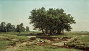 Giovani querce da Ivan Ivanovich Shishkin