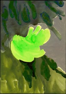 Serie Kensington Gardens: Cascata di foglie, 2007 da Izabella Godlewska de Aranda