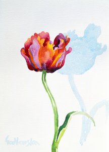 Tulipano da Izabella Godlewska de Aranda