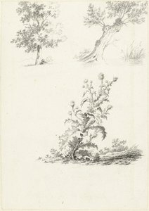 Due studi di un albero e un cardo da J.B. Joss (attributed to)