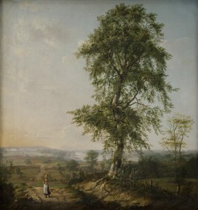 Paesaggio con un grande albero da Johan Christian Dahl