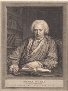 Charles Bonnet da J.F. Clemens
