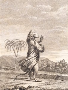 Una scimmia martiniana da J.F. Clemens