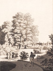 Il giardino di Nordfeldt da J.F. Clemens