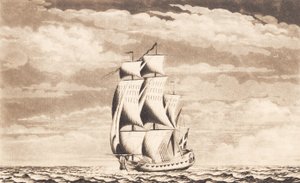 Suite di navi