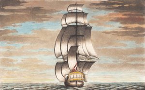 Suite di navi