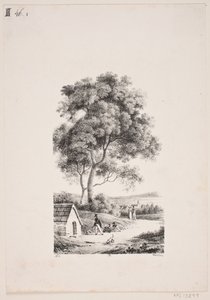 Passeggiando su una strada, a sinistra alberi alti da J.F. Møller