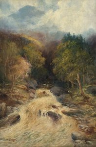 Una foresta di montagna da J.H. Stanger