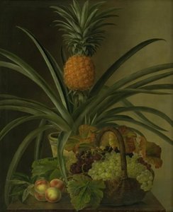 Un ananas e altri frutti da J.L. Jensen