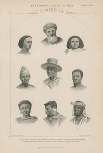 Nove volti di persone etiopi da J.L. Williams