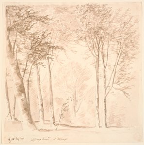 Paesaggio forestale da J.P. Møller