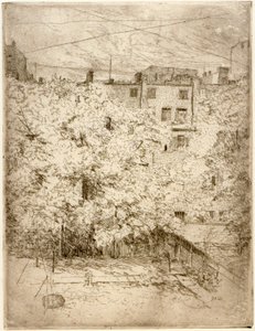 Il mio cortile n. 2