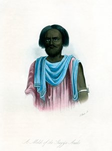 Un Melik degli arabi Shegyia, c1840