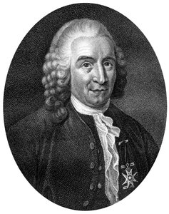 Carolus Linnaeus, botanico, medico e zoologo svedese del XVIII secolo da J. Chapman