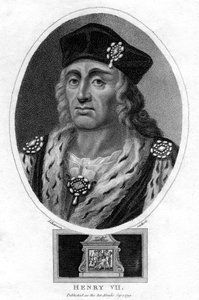 Enrico VII d