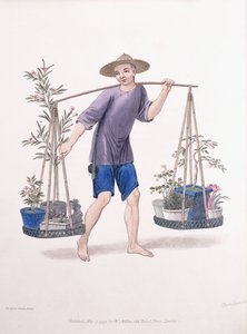 Portatore con alberi da frutto e fiori, c.1800-01