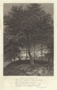 Robert Bloomfield, poeta: Fakenham da Euston Park da J. Greig