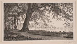 Pomeriggio di primavera al lago Fuglesang nel Dyrehaven